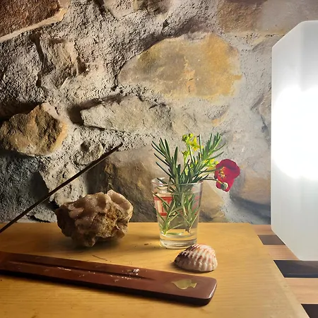Sallobante Aterpetxea - Casa