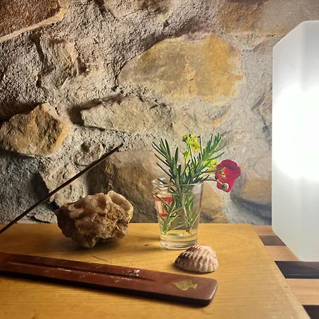 Horská chata Sallobante Aterpetxea